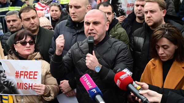 Леван Хабеишвили. Акция сторонников Нацдвижения в поддержку Михаила Саакашвили - Sputnik Грузия