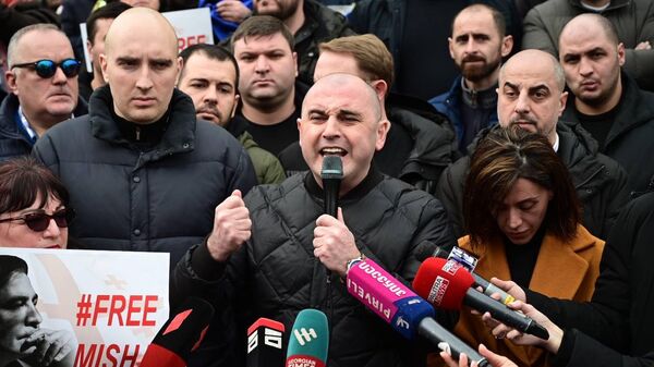 Леван Хабеишвили. Акция сторонников Нацдвижения в поддержку Михаила Саакашвили - Sputnik Грузия
