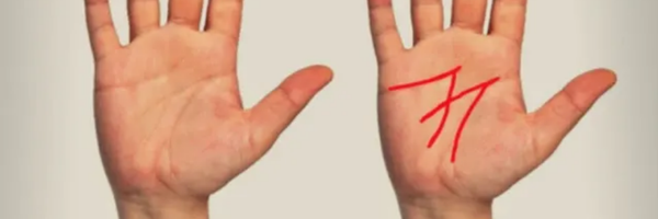 ხელისგული - Sputnik საქართველო