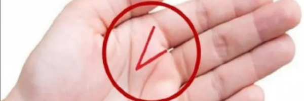 ხელისგული - Sputnik საქართველო