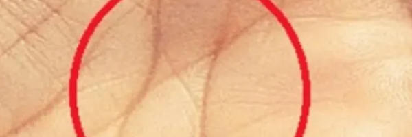 ხელისგული - Sputnik საქართველო