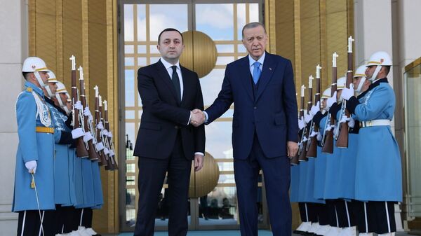 Встреча премьер-министра Грузии Ираклия Гарибашвили с президентом Турции Реджеп Тайп Эрдоганом - Sputnik Грузия