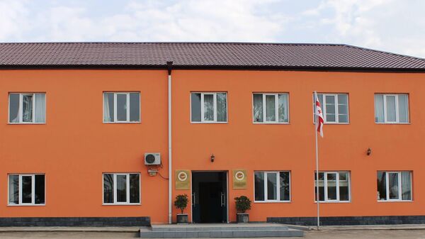 Школа-лицей имени Давида Агмашенебели  в городе Марнеули - Sputnik Грузия