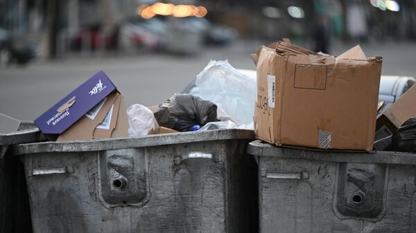 Мусор и отходы в мусорном контейнере - Sputnik Грузия