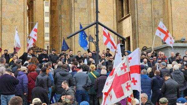 Радикализм порождает радикализм – эксперт об акции «консерваторов» в Тбилиси