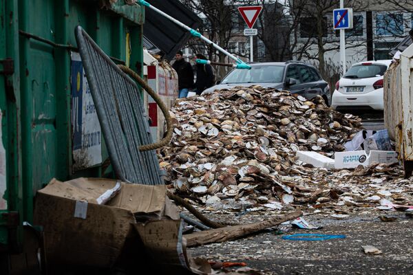 Скопление отходов, в особенности пищевых, представляет санитарные риски для населения - Sputnik Грузия