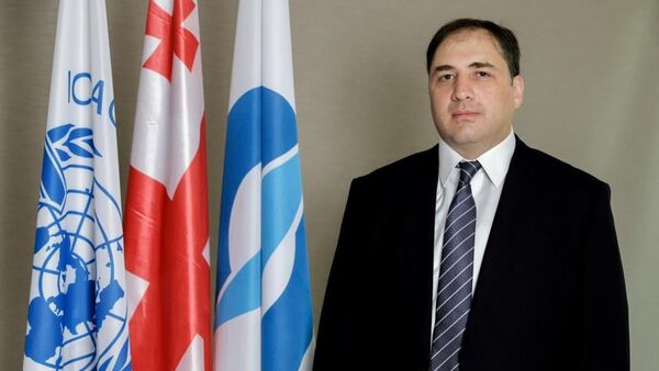 Директор Агентства гражданской авиации Грузии Гиви Давиташвили - Sputnik Грузия