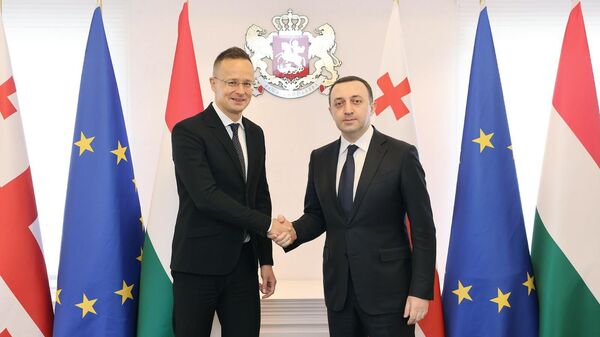 Ираклий Гарибашвили с министром иностранных дел и торговли Венгрии Петером Сийярто - Sputnik Грузия