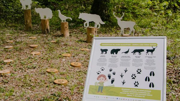 ლაგოდეხის დაცული ტერიტორია - Sputnik საქართველო