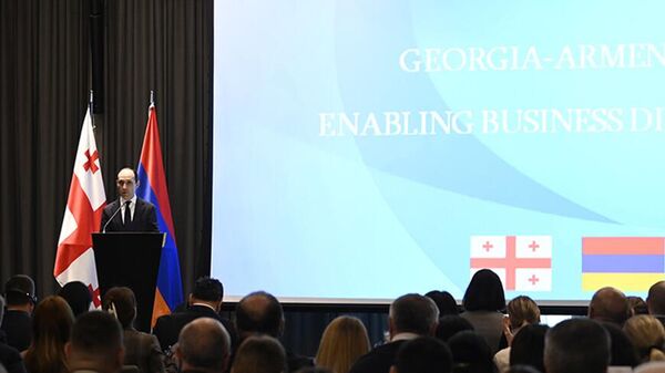 Леван Давиташвили на грузино-армянском бизнес-форуме - Sputnik Грузия