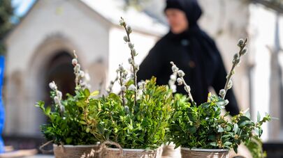 Вербное воскресенье и предпасхальная неделя