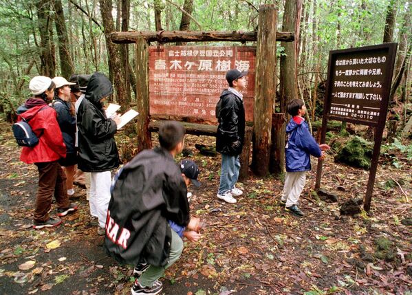 Лес самоубийц Аокигахара в Японии. - Sputnik Грузия