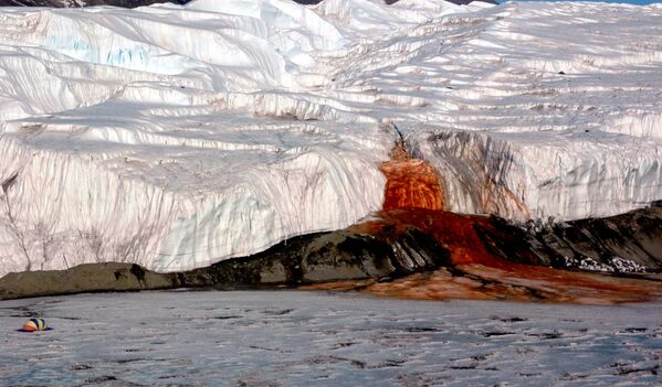 Кровавый водопад в Антарктиде. - Sputnik Грузия