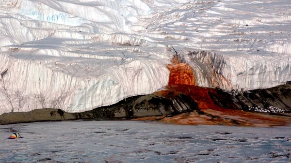 Кровавый водопад в Антарктиде - Sputnik Грузия