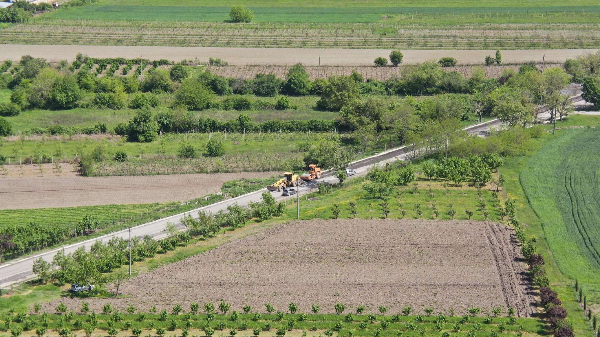 Непогода уничтожила 80-90% виноградников в городе на востоке Грузии