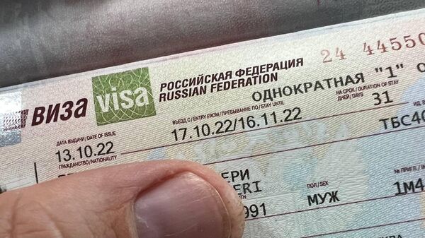 Российская виза для граждан Грузии - Sputnik Грузия