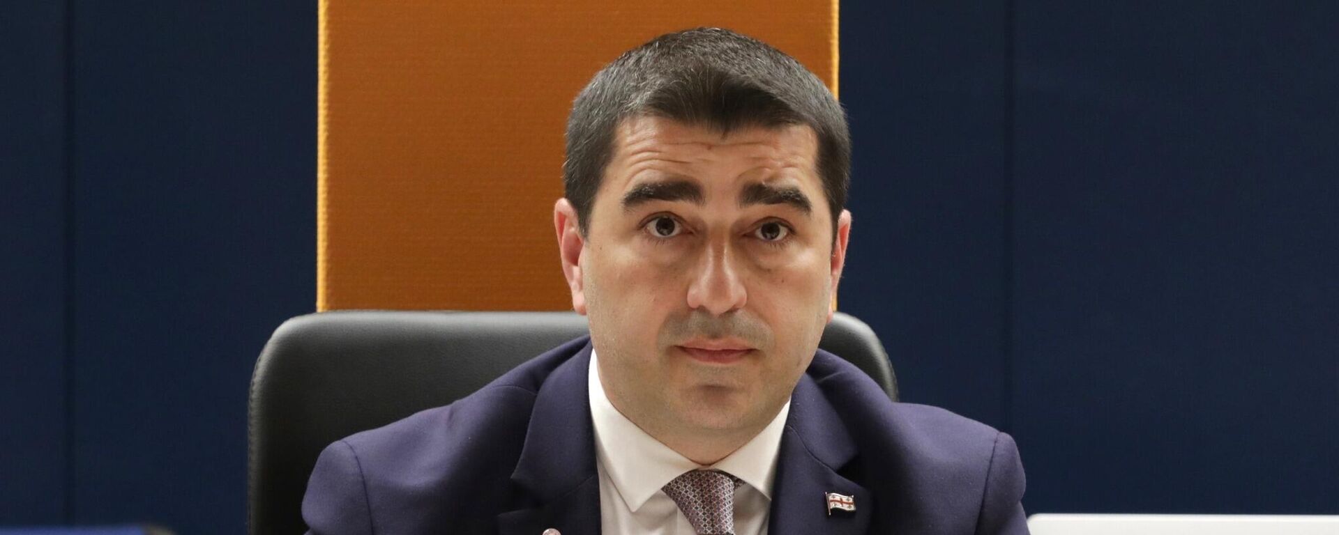 Председатель парламента Грузии Шалва Папуашвили
 - Sputnik Грузия, 1920, 03.04.2026