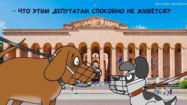 Собаки против депутатов - Sputnik Грузия
