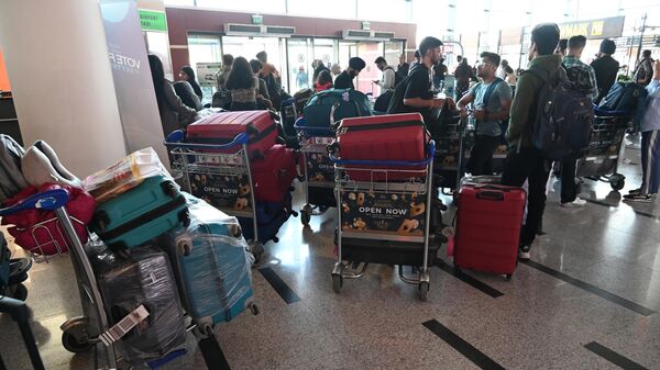 Туристы с чемоданами в тбилисском аэропорту - Sputnik Грузия