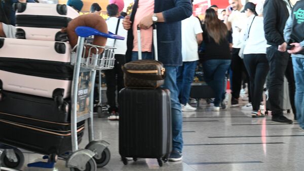Туристы в аэропорту с чемоданами - Sputnik Грузия