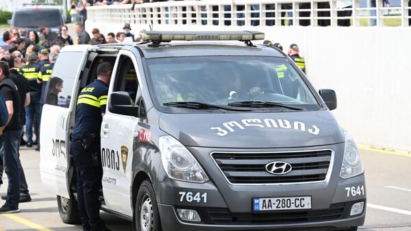 პოლიცია თბილისის აეროპორტში - Sputnik საქართველო