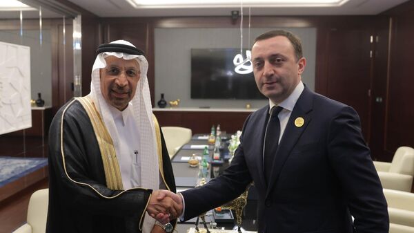 Ираклий Гарибашвили  и министр инвестиций Королевства Саудовская Аравия Халид Алфаил - Sputnik Грузия