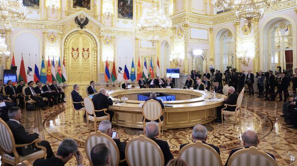 Заседание ВЕЭС под председательством президента РФ В. Путина - Sputnik Грузия