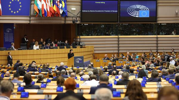Саломе Зурабишвили выступает в Европарламенте - Sputnik Грузия