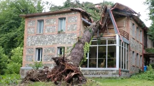 Поваленные деревья и разрушенные дома: ураган в Кахети - видео - Sputnik Грузия