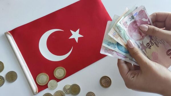 Денежные купюры и монеты: турецкие лиры - Sputnik Грузия