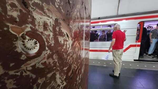 Удивительная доисторическая ракушка на станции метро Руставели в столице Грузии - Sputnik Грузия