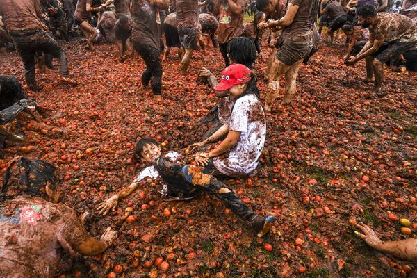 Фестиваль помидоров в Колумбии. - Sputnik Грузия