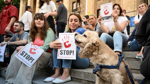 Жители Тбилиси протестуют против жестокого обращения с животными - видео - Sputnik Грузия