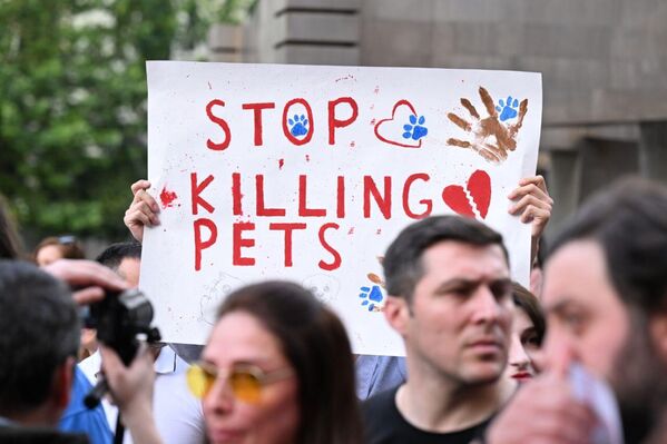 Представители молодежи - самые активные участники акции против жестокого обращения с домашними животными.  - Sputnik Грузия