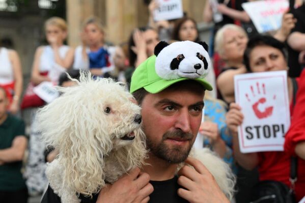 Люди вышли на улицы, чтобы сказать &quot;Нет!&quot; нападениям и убийствам бездомных собак.  - Sputnik Грузия
