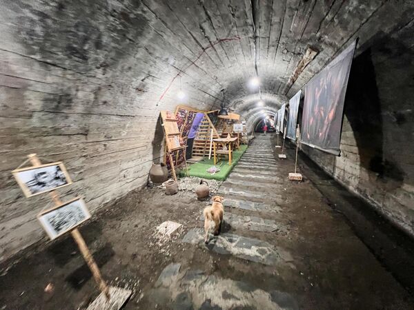 Железная решетка в ущелье, через которую можно попасть в тоннель, время от времени бывает закрыта.  - Sputnik Грузия