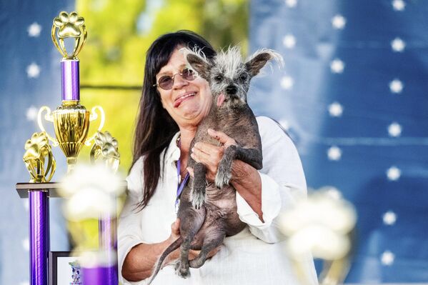 Пес по кличке Скутер, занявший первое место в конкурсе &quot;Самая уродливая собака в мире&quot; в Петалуме, Калифорния. - Sputnik Грузия