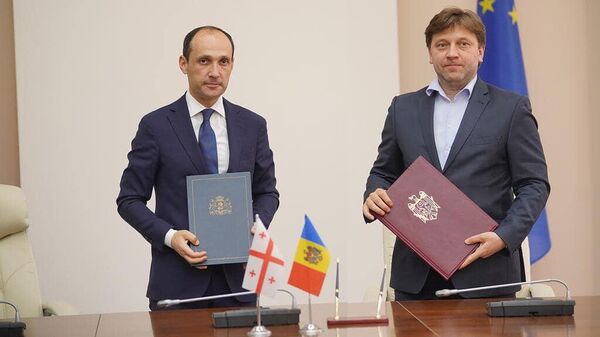 Грузия и Молдова углубляют экономическое сотрудничество - Sputnik Грузия