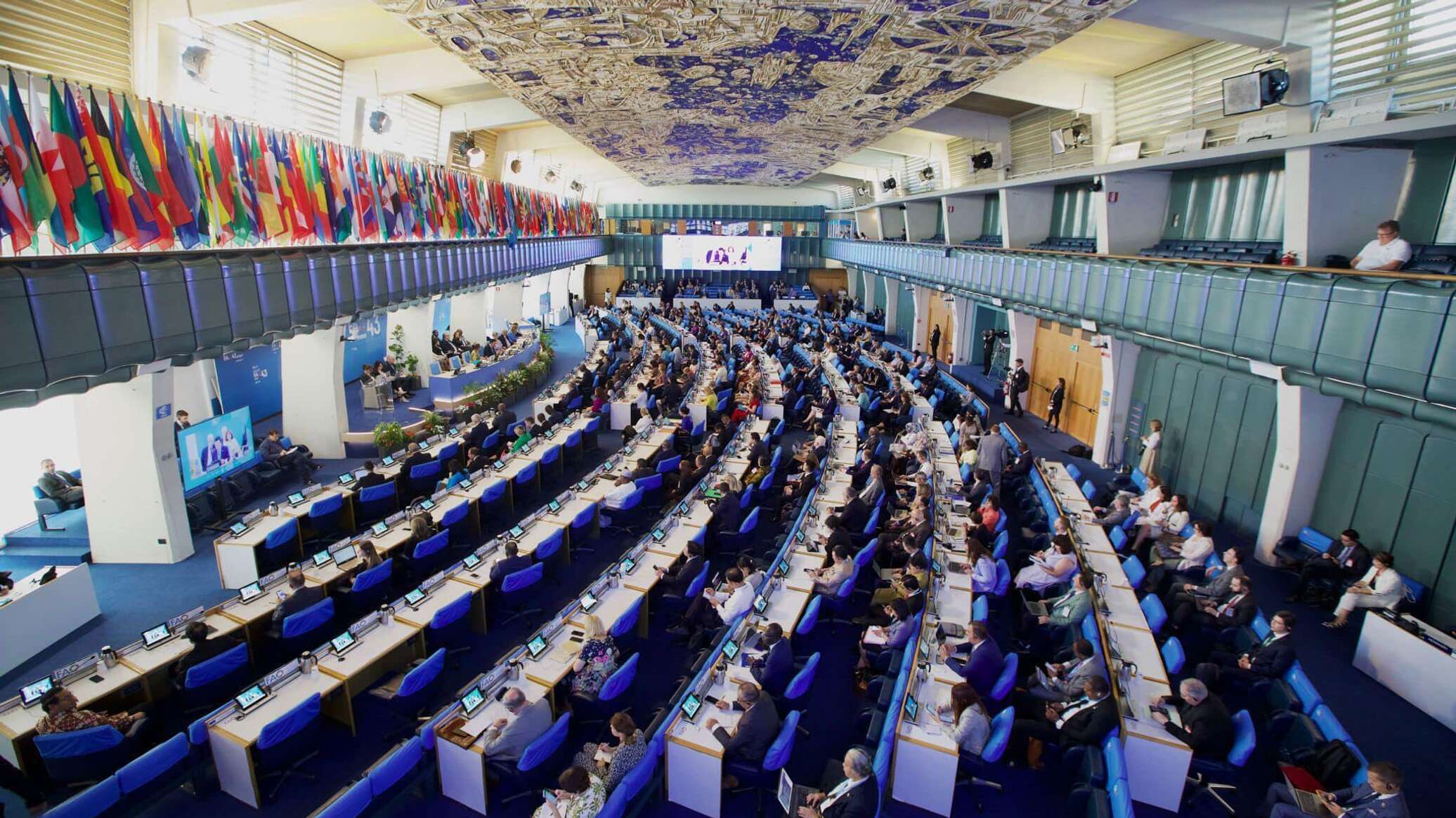 Грузия впервые стала членом Совета FAO