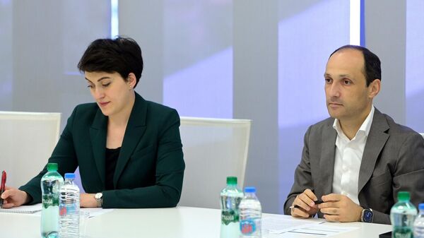 Встреча министра экономики Левана Давиташвили и вице-президента Азиатского банка инфраструктурных инвестиций Константина Лимитовского - Sputnik Грузия