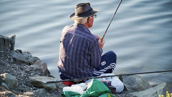 Пожилой рыбак на озере Лиси - Sputnik Грузия