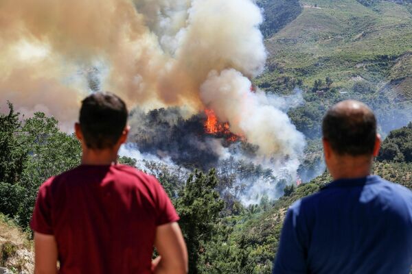 Местные жители смотрят на лесной пожар в Турции. - Sputnik Грузия