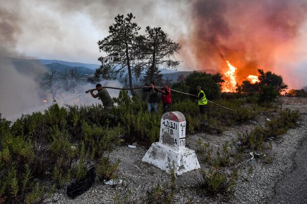 Пожарные тушат лесной пожар около города Меллула на северо-западе Туниса. - Sputnik Грузия