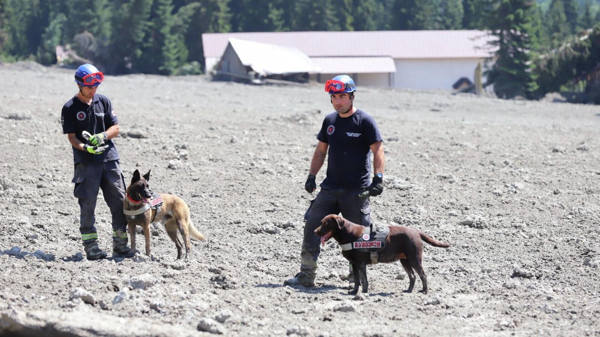 Поисково-спасательная операция на месте схода оползня в Шови - Sputnik Грузия, 1920, 09.08.2023