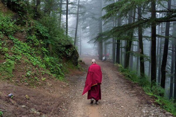 Тибетский монах в изгнании идет по горной тропе в Дхарамсале, Индия. - Sputnik Грузия