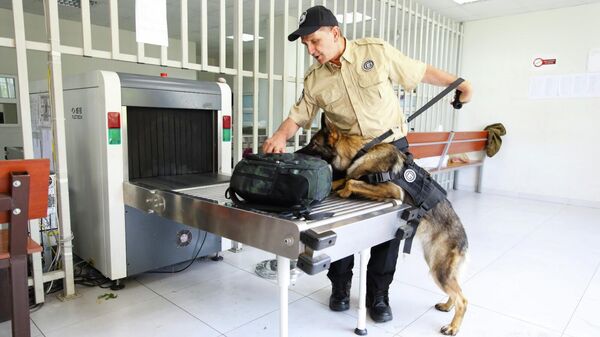 სპეციალურად გაწვრთნილი გერმანული ნაგაზი პრადა ამოწმებს პატიმრებისთვის განკუთვნილ ამანათებს. - Sputnik საქართველო