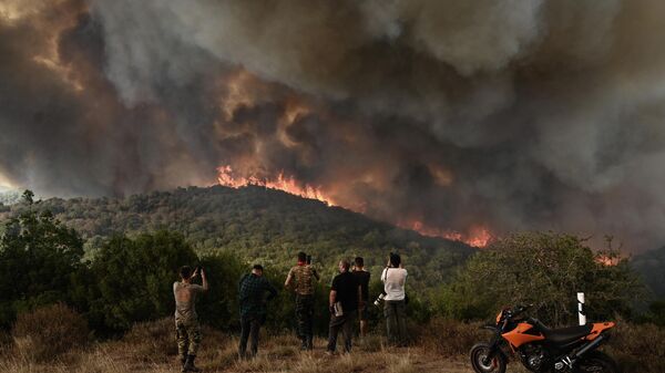 Лесные пожары в Греции - Sputnik Грузия