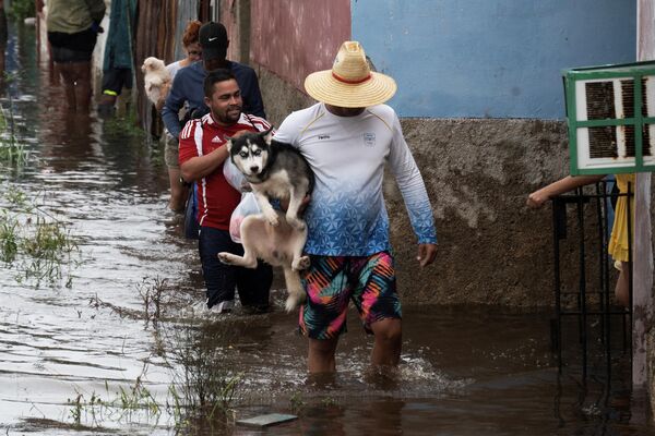 Мужчина несет собаку по затопленной улице в Батабано, Куба. - Sputnik Грузия
