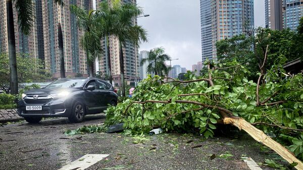Автомобиль проезжает мимо ветвей деревьев, сломанных сильным ветром, принесенным супертайфуном Саола в Гонконге - Sputnik Грузия