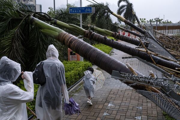 Люди проходят мимо поваленных деревьев после тайфуна &quot;Саола&quot; в Гонконге. - Sputnik Грузия